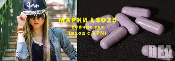 PSILOCYBIN Козельск