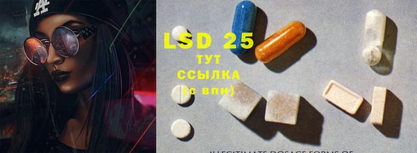 PSILOCYBIN Козельск