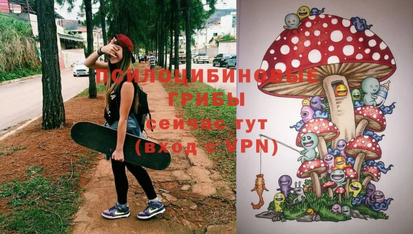 PSILOCYBIN Козельск
