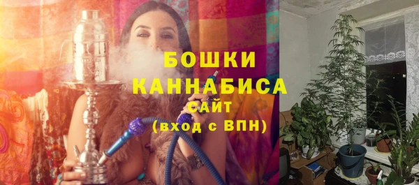 PSILOCYBIN Козельск