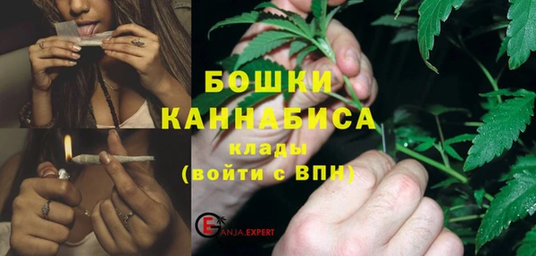 PSILOCYBIN Козельск